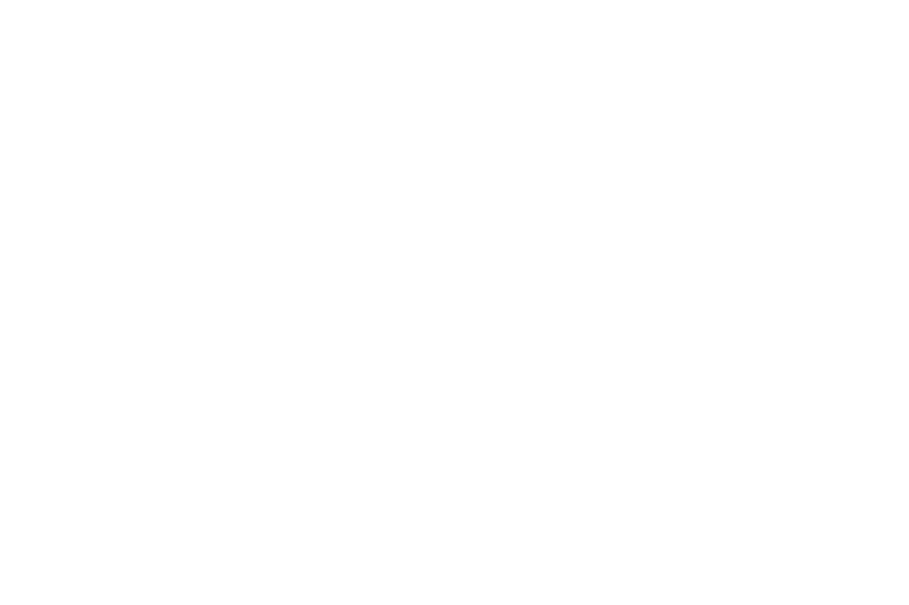 ТОП'Псков — трансфер и экскурсии
